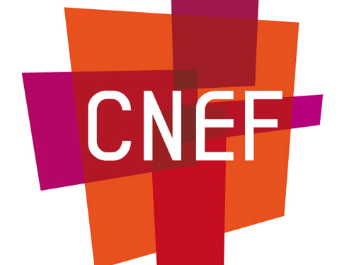 A FRENCH PERSPECTIVE ON EVANGELICAL SOCIO-POLITICAL PRIORITIES