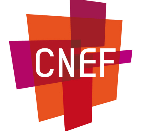 A FRENCH PERSPECTIVE ON EVANGELICAL SOCIO-POLITICAL PRIORITIES