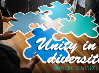 Discovering and celebrating diversity to build unity