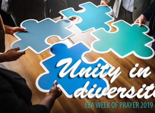 Discovering and celebrating diversity to build unity