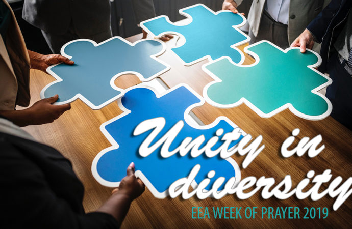 Discovering and celebrating diversity to build unity