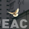 75 years of peace in Europe (?)