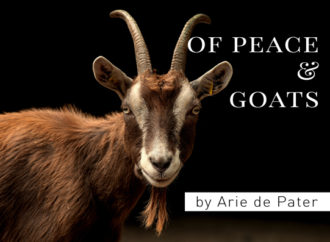 Of peace and goats