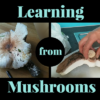 Learning from Mushrooms