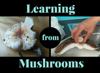 Learning from Mushrooms