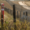 EEA Statement on the situation on the Belarus – EU border