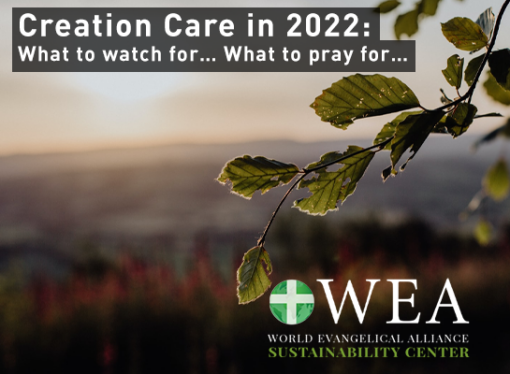 Creation Care in 2022: What to watch for… What to pray for…