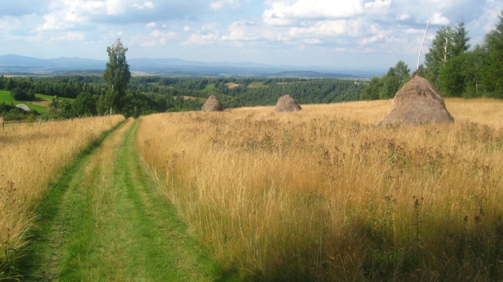 pastoral-landscape2