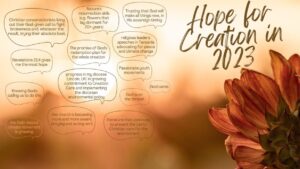 Many people feel a bit low about the progress on Creation Care. What is one thing that gives you hope?