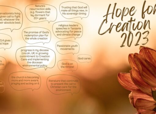 House on the Rock means creation care