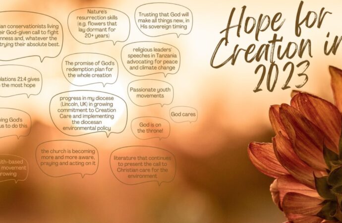 House on the Rock means creation care