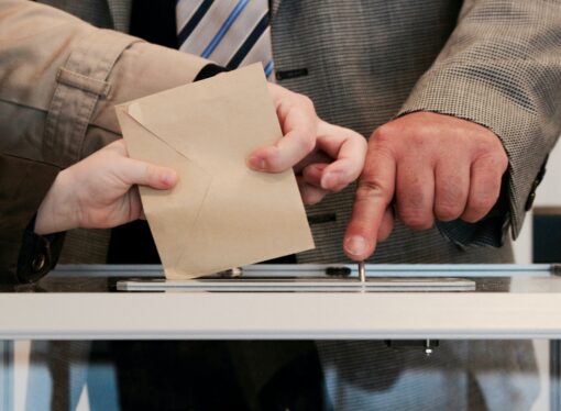 European Elections: Do you vote?