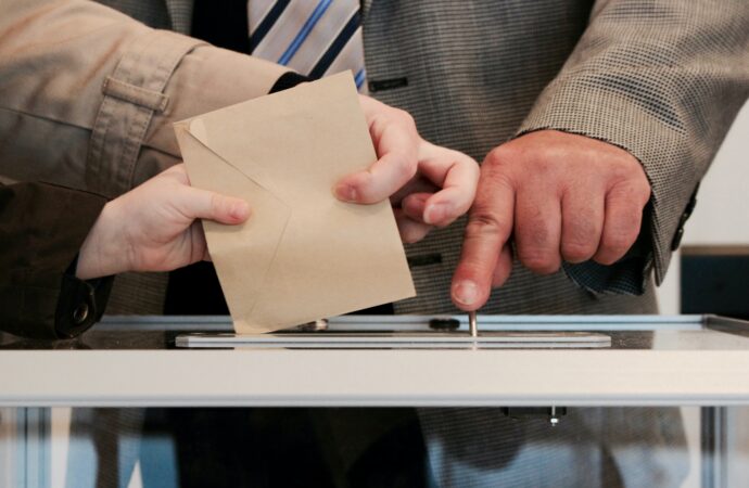 European Elections: Do you vote?
