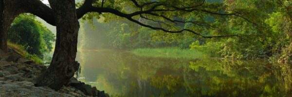 nitish-kadam-guW0fgImEXQ-unsplash