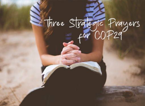 Three Strategic Prayers for COP29
