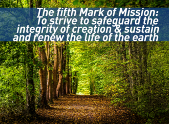 The fifth Mark of Mission: To strive to safeguard the integrity of creation & sustain and renew the life of the earth