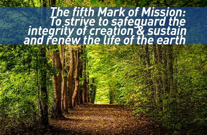 The fifth Mark of Mission: To strive to safeguard the integrity of creation & sustain and renew the life of the earth