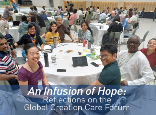 An Infusion of Hope: Reflections on the Global Creation Care Forum