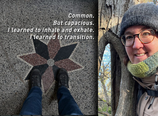 Common. But capacious. I learned to inhale and exhale. I learned to transition.